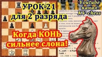 Лошадь напала на слона в Индии