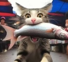 Да... Кусало то ещё получилось.