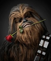 Демотиваторы для настроения: «Не можешь противостоять?» 