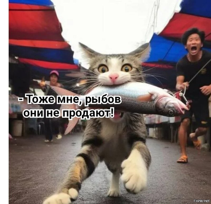 Намешалось