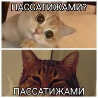Не ищите здесь смысл. Здесь в основном маразм