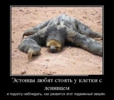 Эстонская полиция пыталась допросить капитана сборной Израиля по футболу.&nbsp;
