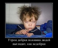 Продолжаем барражировать соцсети