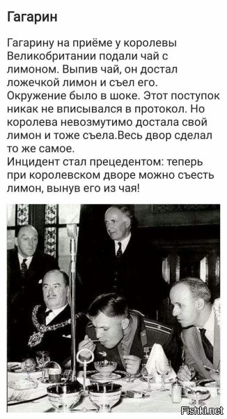 Не ищите здесь смысл. Здесь в основном маразм