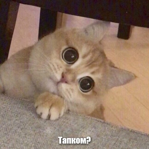 Солянка от 10.06.2025