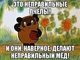 Крупнейшая пчела на планете с челюстями чудовища: она вымерла и воскресла дважды!