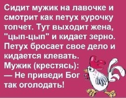 Похоже, собак не кормили перед этим несколько суток!)