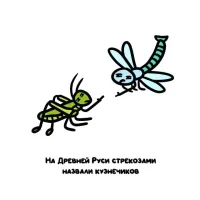 Так вот почему "попрыгунья стрекоза"! 
Впрочем, логично: скачет как коза и стрекочет)) Вот только как этих, кто сейчас "стрекоза", называли, интересно.
