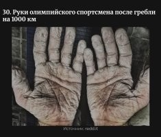 Чё ?
 1000 км ? 

Это что за олимпийские соревы такие  , 
гребля  на    1 0 0 0 км. ?