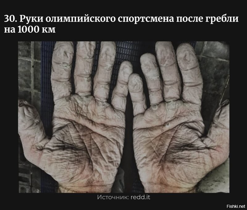 Чё ?
 1000 км ? 

Это что за олимпийские соревы такие  , 
гребля  на    1 0 0 0 км. ?