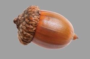 "Артемий, завязывай уже воровать всё у всех!": студию дизайна Лебедева уличили в плагиате после публикации плаката ко Дню России