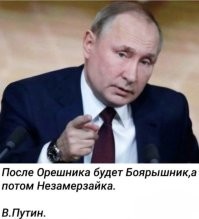 О политике и не только