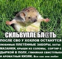 О политике и не только