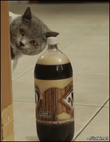 Нет , вот кто мнет ...