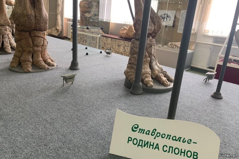 До исторической родины не далеко)))  На ставрополье это прям брэнд, еще с XIX века.