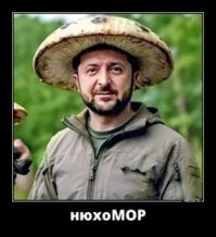 «Енотик против наркотиков»: уральские наркодиспансеры продолжают креативить с талисманами заведений
