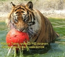 Неореализма вам&nbsp;в&nbsp;ленту