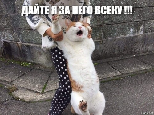 Когда очень сильно хочешь втащить, но очень сильно себя сдерживаешь