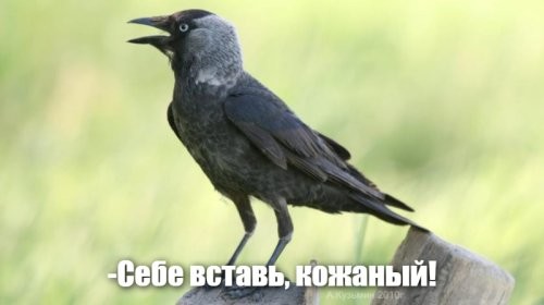 Добрый день