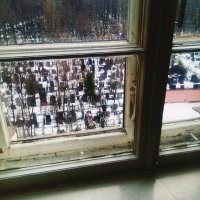 А у меня за окном тихо и спокойно. Никто по ночам не кричит...