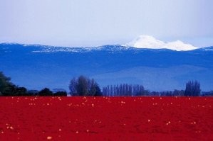 Поздравлю Всех С ДНЕМ РФ!!!