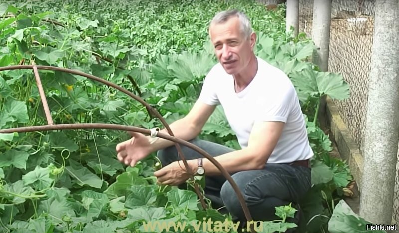 Это всё он...