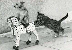 Парень в странном наряде подсел в машину к мужчине