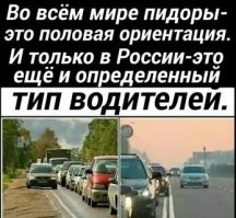 Обочечник нашёл себе неприятности