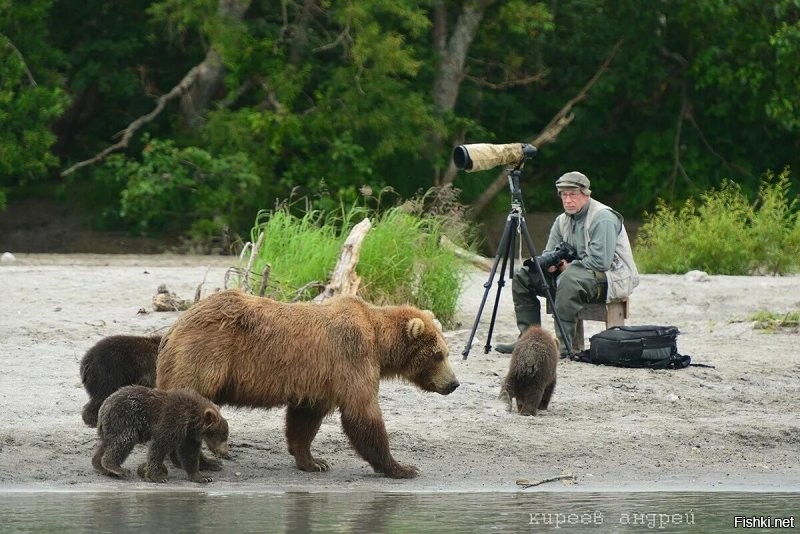 А есть фотки фотика Киев?