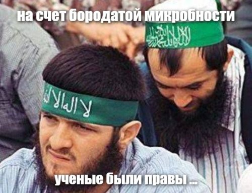 Ученые выяснили, что мужская борода создаёт уникальную среду для бактерий
