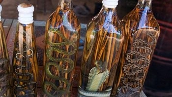 Отпустили, а могли бы её и в бухло засунуть.