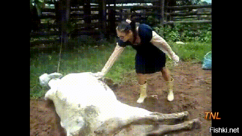 Получил чего хотел