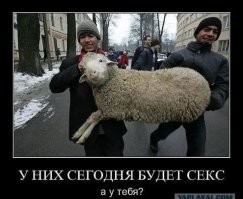 Сколько секса нужно людям в зависимости от возраста