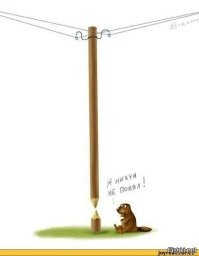 О вразумлении свинарника - даже до них, медленно, но доходит