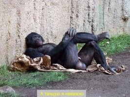 Сколько секса нужно людям в зависимости от возраста