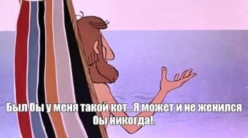 Ученые выяснили, что для человечества мемы с котиками — то же самое, что для пингвинов красивые камушки