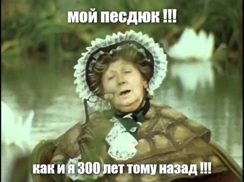 Переиграла и уничтожила: черепаха утащила всю тарелку с вкусняшками