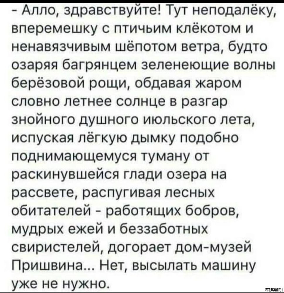 В Екатеринбурге 29-летний «ребёнок» поджег тополиный пух