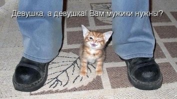 Девушки сняли на видео доказательства, что кошка запросто может увести мужчину