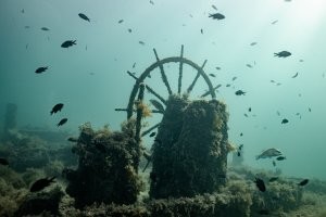 Добавлю из нашей коллекции. Черное море, Капсельская бухта.