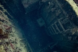 Добавлю из нашей коллекции. Черное море, Капсельская бухта.