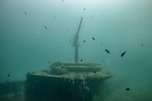 Добавлю из нашей коллекции. Черное море, Капсельская бухта.