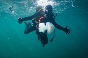 Добавлю из нашей коллекции. Черное море, Капсельская бухта.