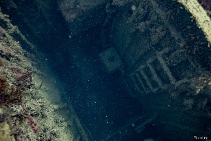 Добавлю из нашей коллекции. Черное море, Капсельская бухта.