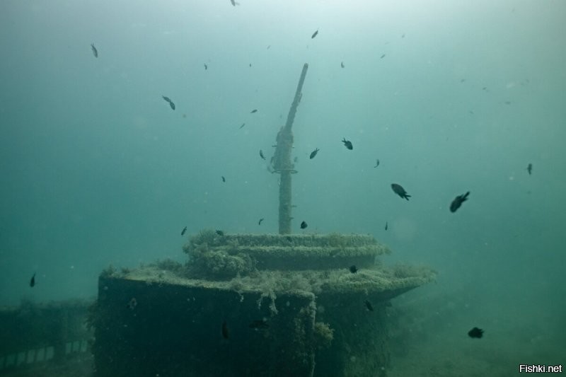 Добавлю из нашей коллекции. Черное море, Капсельская бухта.