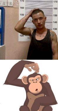 Очевидно, что не слишком далеко этот представитель homo sapiens в своем развитии от обезьяны ушел.