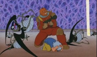 Оса-ястреб: от её яда можно лишь упасть на землю и кричать