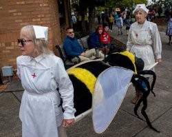 Пчела тоже пострадала.
