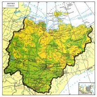 Якутия по меридиану - примерно 2000 километров. 
Где-то там залетные водилы (аборигены такой глупости не делают) прикормили медвежонка. Но он подрос. И  ещё подрастет.