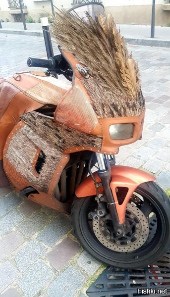 У индейцев перья чище